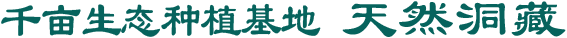 千畝生成基地 天然洞藏