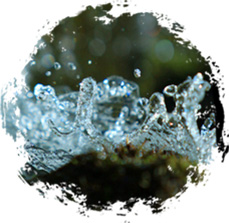 淀粉含量高和角質(zhì)率高、 破碎粒度整齊、吸水率低