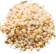 在釀造工藝中可保持粒度 均勻、有利于出酒和糊化