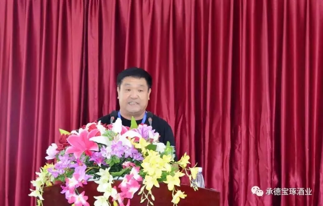 泰豐集團(tuán)董事長(zhǎng)段秀合講話