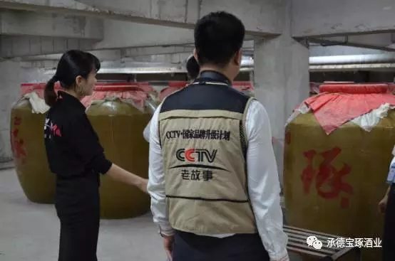 《信用中國》欄目組制片主任楊杰與承德琢酒總經理張雅麗簽訂合作協(xié)議