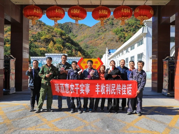河北琢酒集團(tuán)千畝高粱種植示范基地喜獲豐收、惠及百姓！