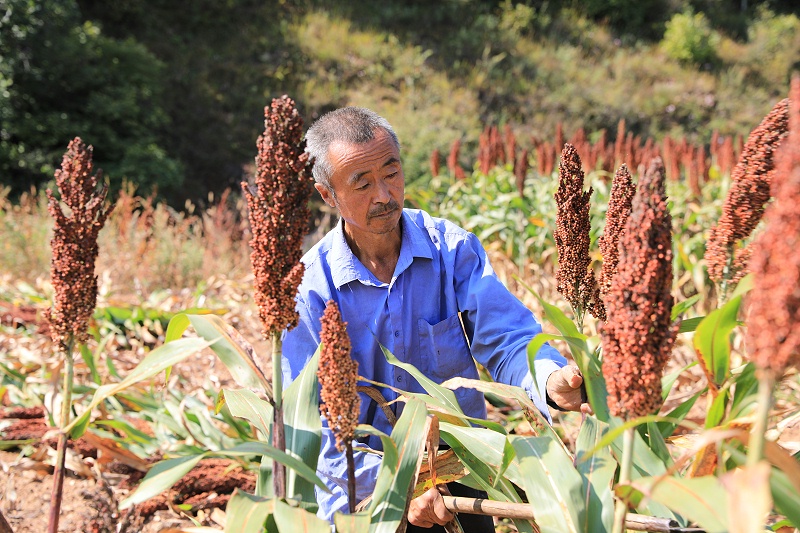 微信圖片_20201014093803